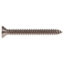 Load image into Gallery viewer, HILLMAN 42157 Screw, #10 Thread, 2 in L, Flat Head, Phillips Drive, Sharp Point, Stainless Steel, 30 PK
