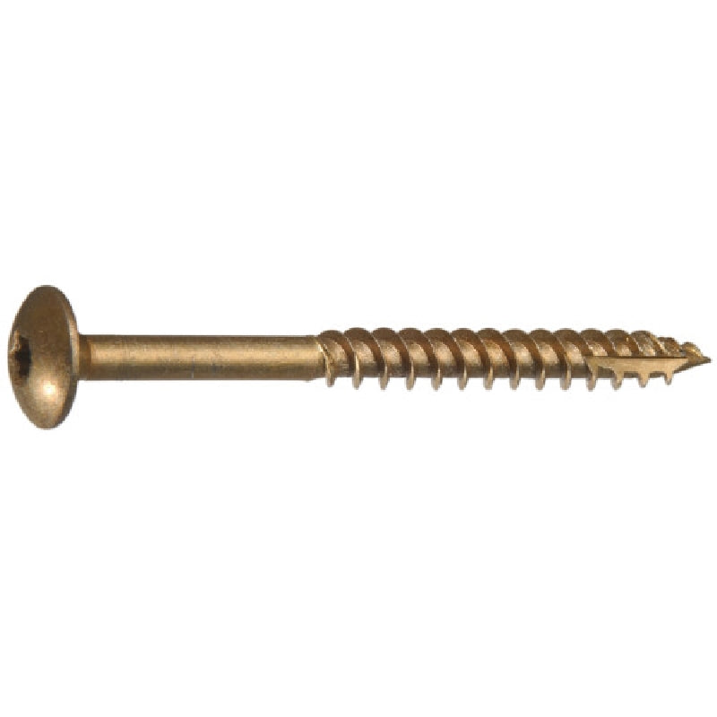 HILLMAN 47867 Lag Screw, 1/4 in Thread, 2 in L, Truss Head, Star Drive, Bronze Ceramic-Coated, 50 PK