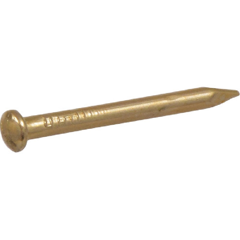 HILLMAN 532422 Escutcheon Pin, 1 in L, Brass, Half-Round Head, Smooth Shank