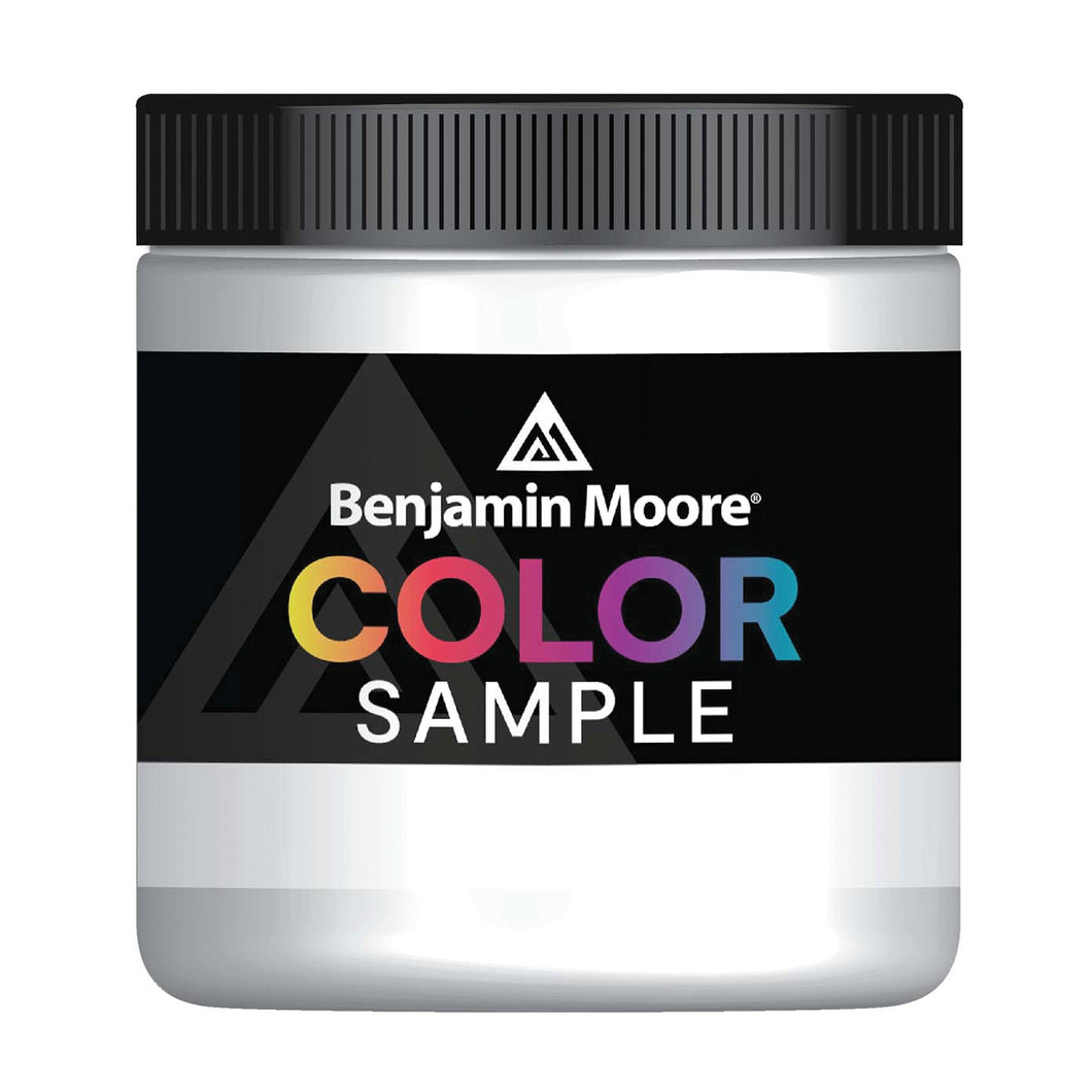 Benjamin Moore 01271X-008 Color Sample, Pastel Base, 1 pt