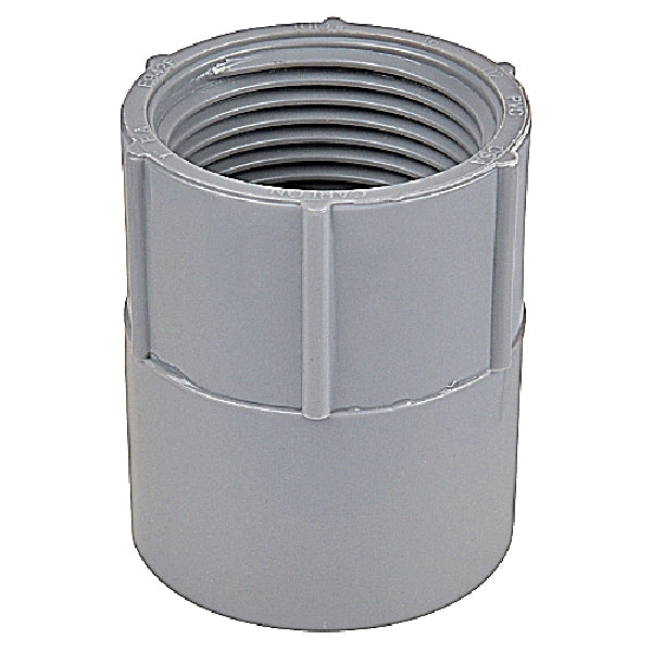 Carlon E942J Conduit Adapter, 2 in Female, 2-47/64 in Dia, 2-5/16 in L, PVC, Gray