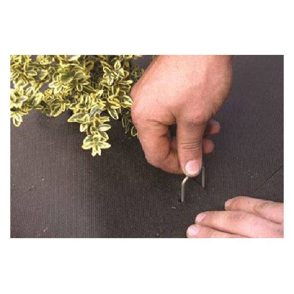 DeWitt APRC Anchor Pin, 6 in L, 1 in W, 11 ga Thick, Steel