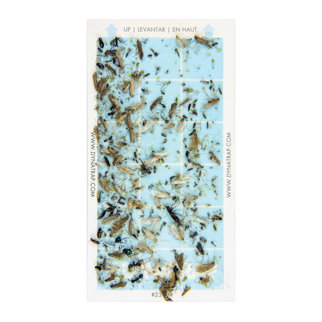 DYNATRAP D99 DT3039W Flylight Insect Trap with AC and USB Outlets, 9-1/2 in L Trap, 3-1/2 in W Trap