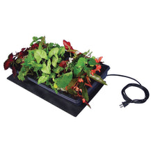 Load image into Gallery viewer, Super Sprouter Y03 726695 Seedling Heat Mat, 21 in L, 10 in W, 120 V
