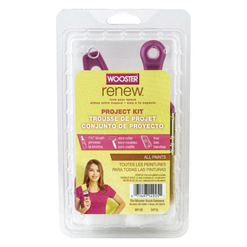WOOSTER Renew BR139 Paint Roller Kit