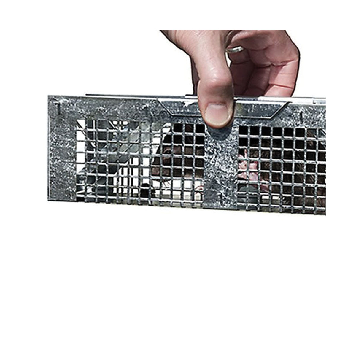 Havahart 1020 Extra-Small Animal Cage Trap, 10 in L, 3 in W, 3 in H, Gravity-Action, Spring-Loaded Door