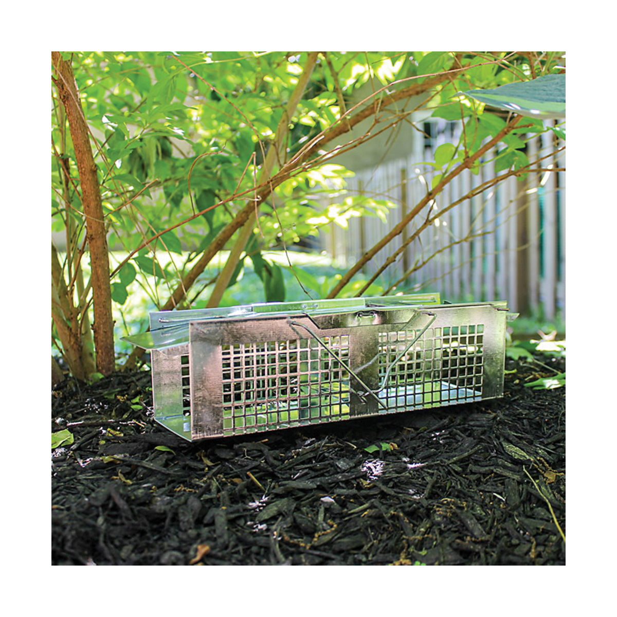 Havahart 1020 Extra-Small Animal Cage Trap, 10 in L, 3 in W, 3 in H, Gravity-Action, Spring-Loaded Door