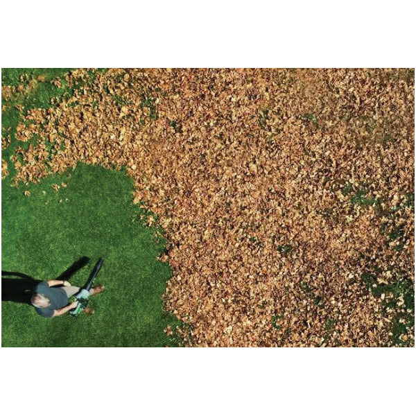 EGO LB7654 Cordless Electric Leaf Blower Kit, 5 Ah, 56 V Battery, ARC Lithium Battery, 765 cfm Air, Black