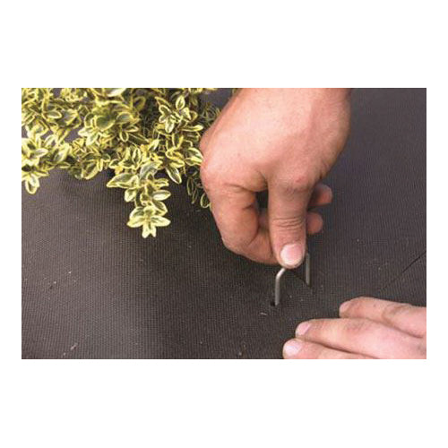 DeWitt AP75 Anchor Pins, 6 in L, 6 in W, 1 in Thick, Steel