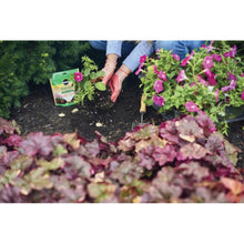 Load image into Gallery viewer, Miracle-Gro 3784101 Planting Tablet, Tablet Pack
