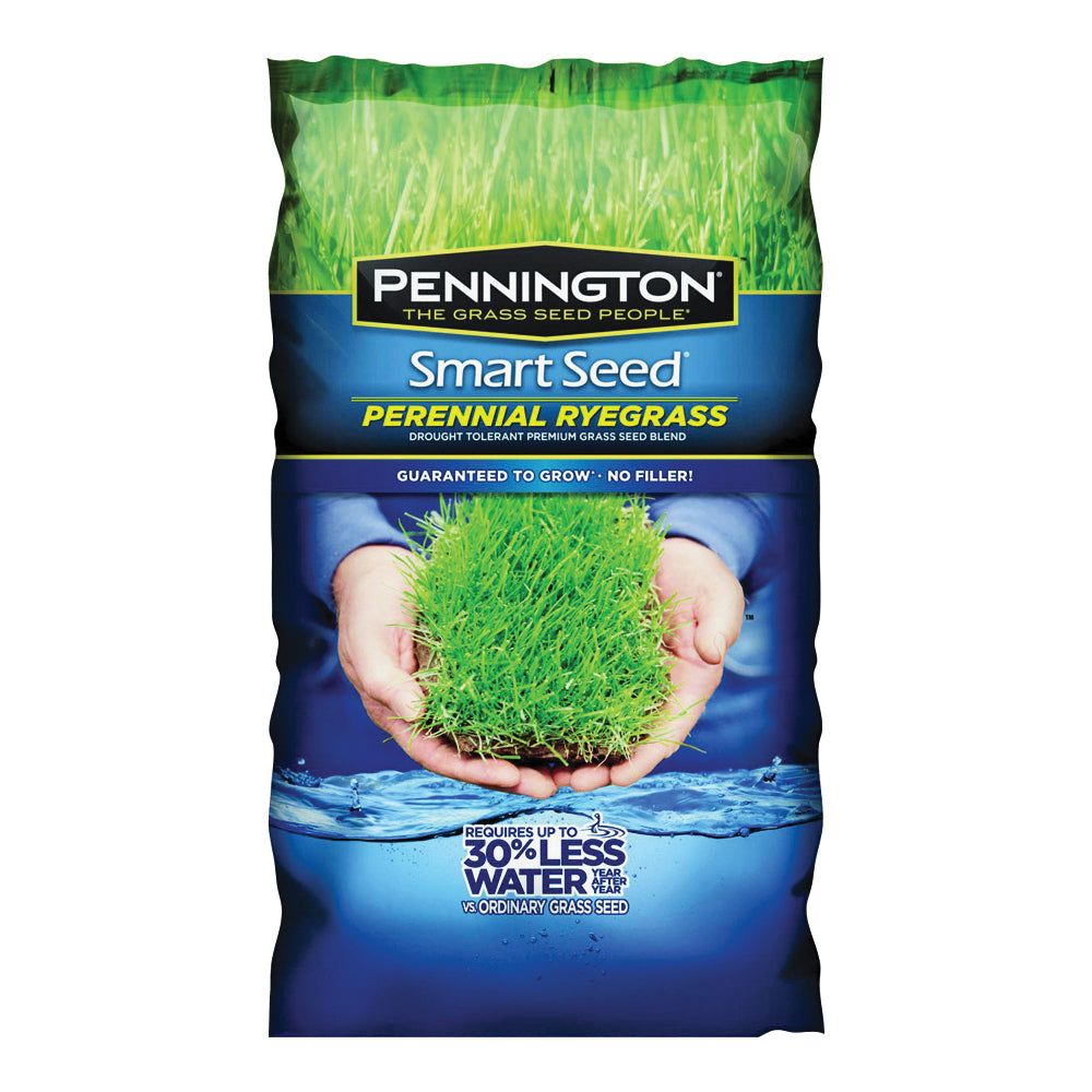 Pennington 100526658 Perennial Ryegrass Seed, 3 lb Bag