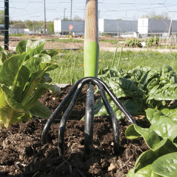 AMES 2916300 Floral Cultivator, 5 -Tine, Steel Tine, 48 in L Handle