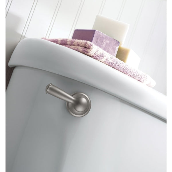 Moen Banbury Series Y2601BN Tank Lever, Zinc