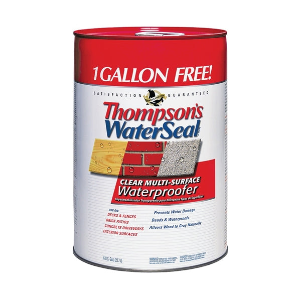 Thompson&#39;s WaterSeal TH.024106-06 Waterproofer, Clear, 6 gal, Can