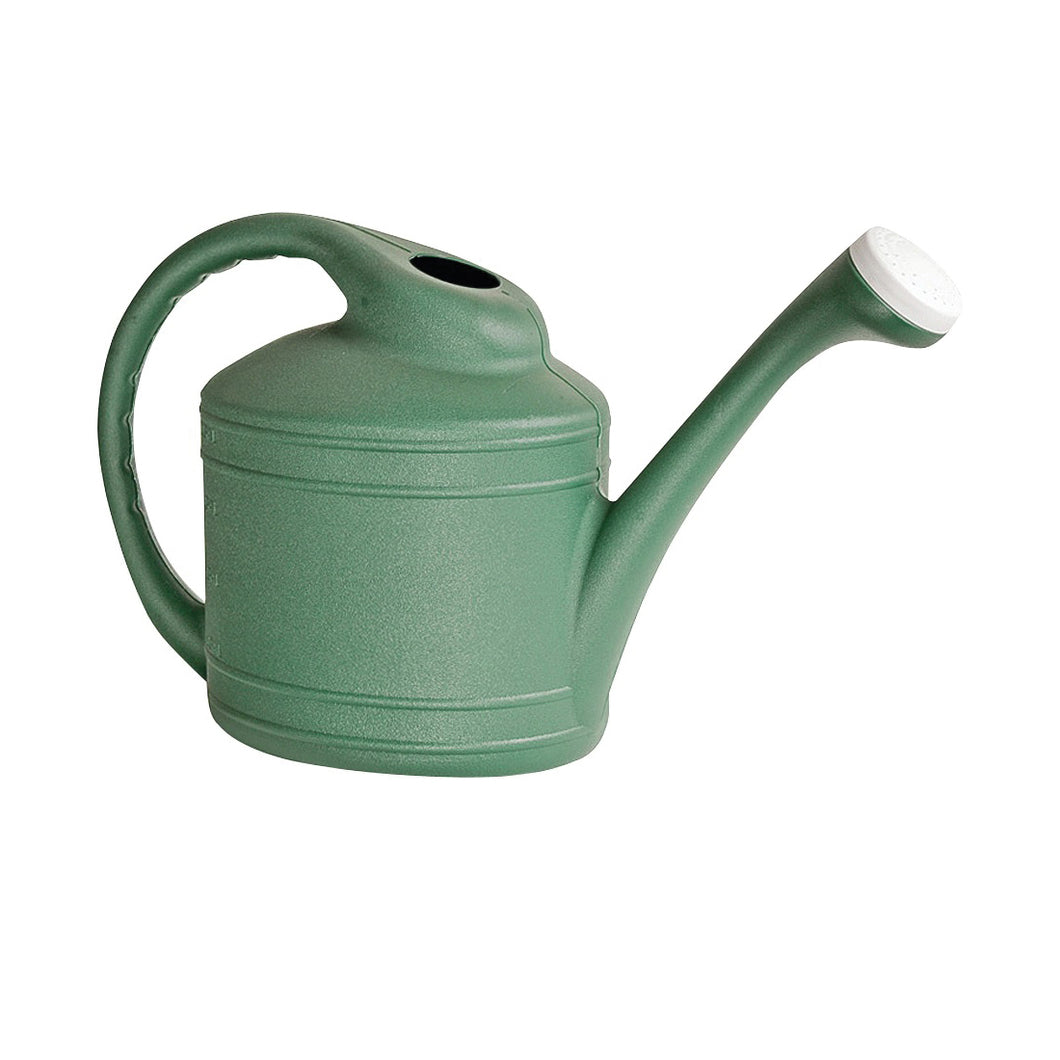 Southern Patio WC8108FE Watering Can, 2 gal Can, Resin, Fern