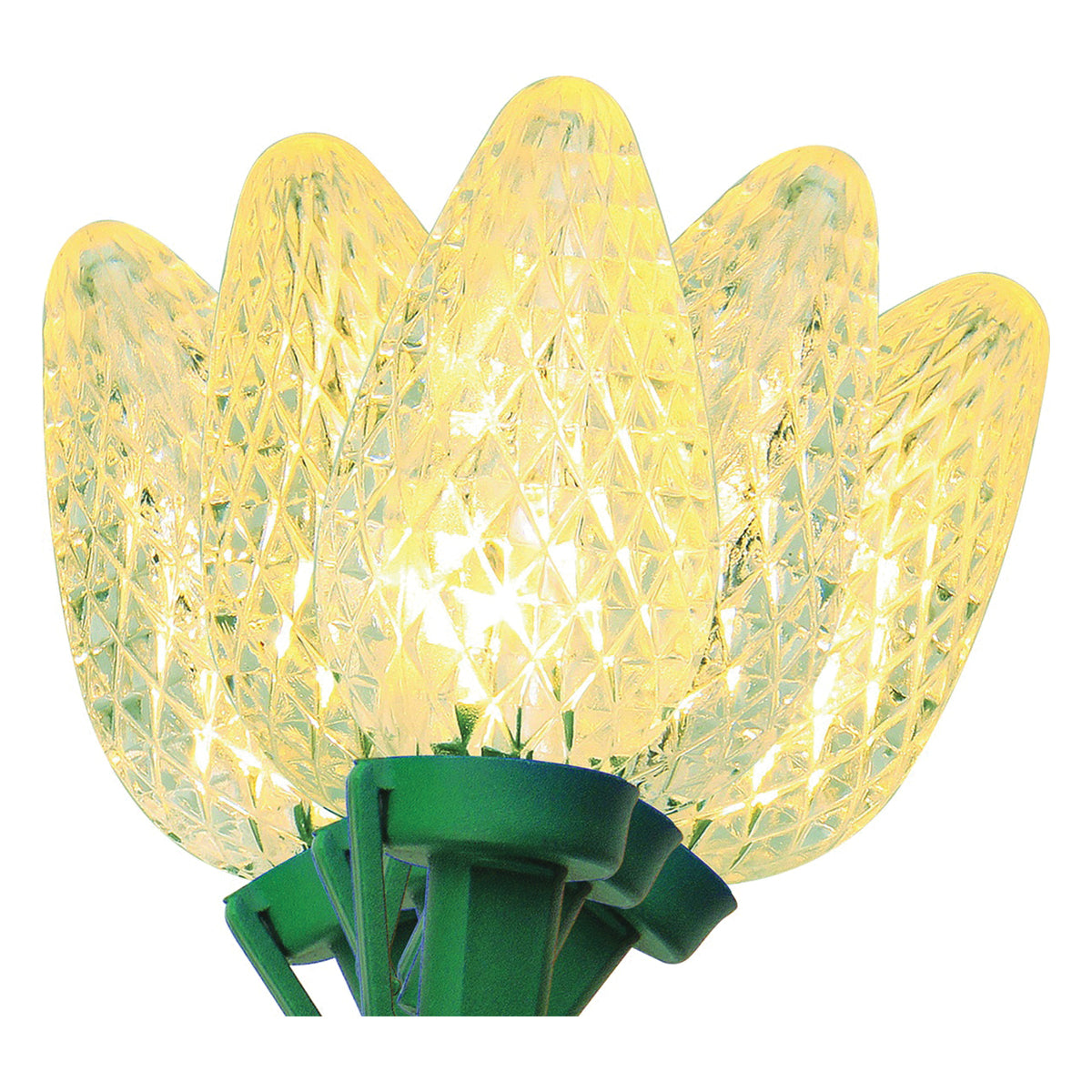 Sylvania V47659-49 Light Set, Christmas, 120 V, 2.4 W, 25-Lamp, LED Lamp, Warm White Lamp, 17 ft L