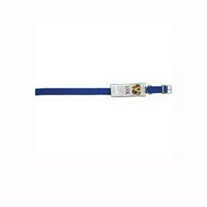 PETMATE 20428 Pet Collar, 22 in L Collar, 1 in W Collar, Nylon, Blue