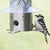 Perky-Pet SGB007 Bird Feeder, Elegant Frosted, Sunflower/Mixed Seed, 3 -Port/Perch, Metal/Plastic, Silver