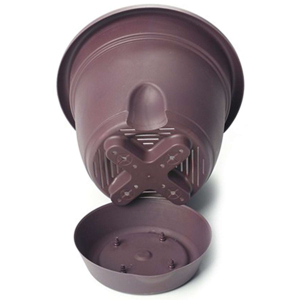 Bloem Lucca LP0656 Planter, 5.3 in W, Polypropylene, Exotica