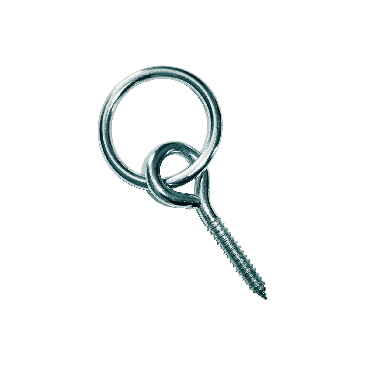 Multinautic 15200 Ring and Lag Screw, Stainless Steel