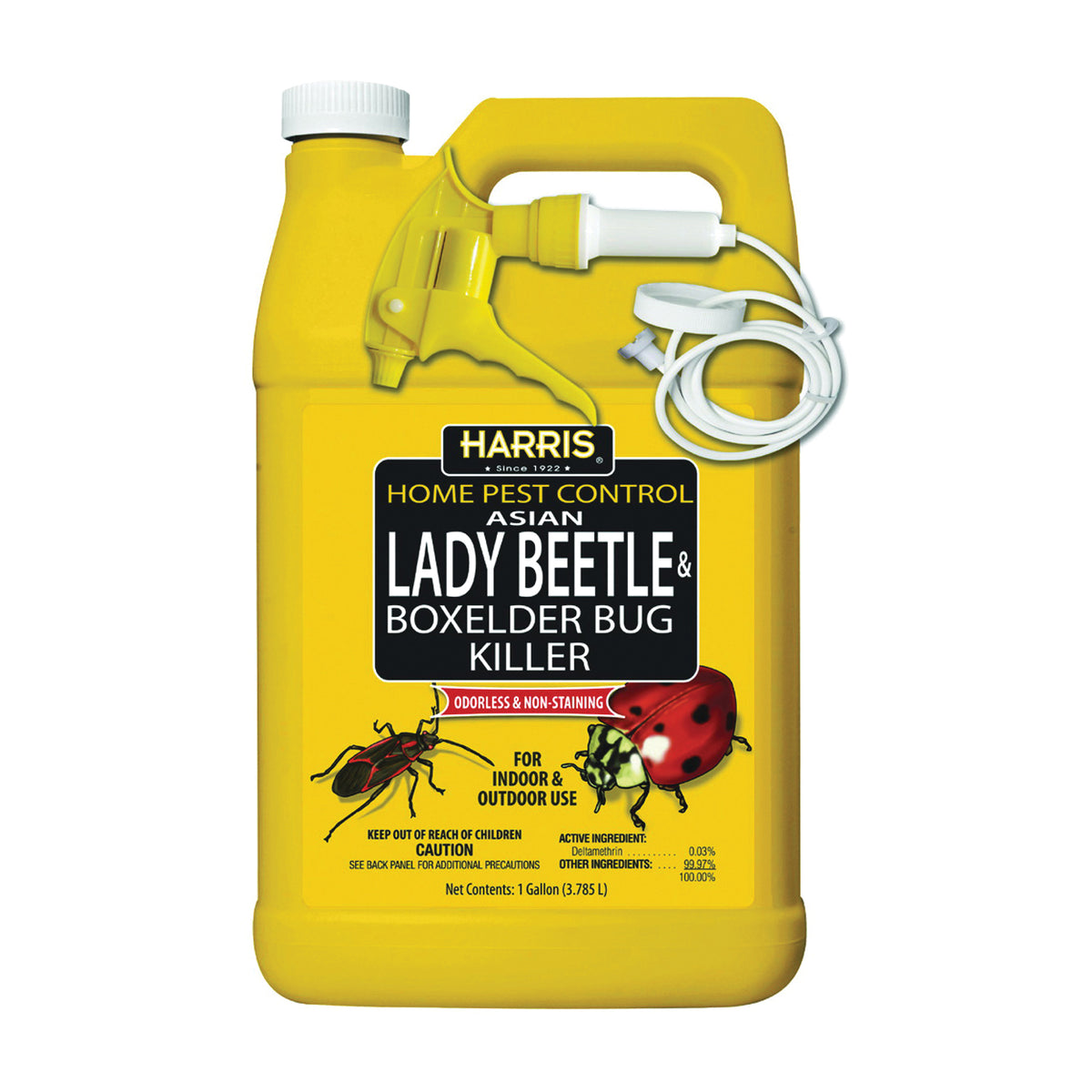 HARRIS HBXA-128 Beetle and Box Elder Bug Killer, Liquid, Spray Application, 128 oz