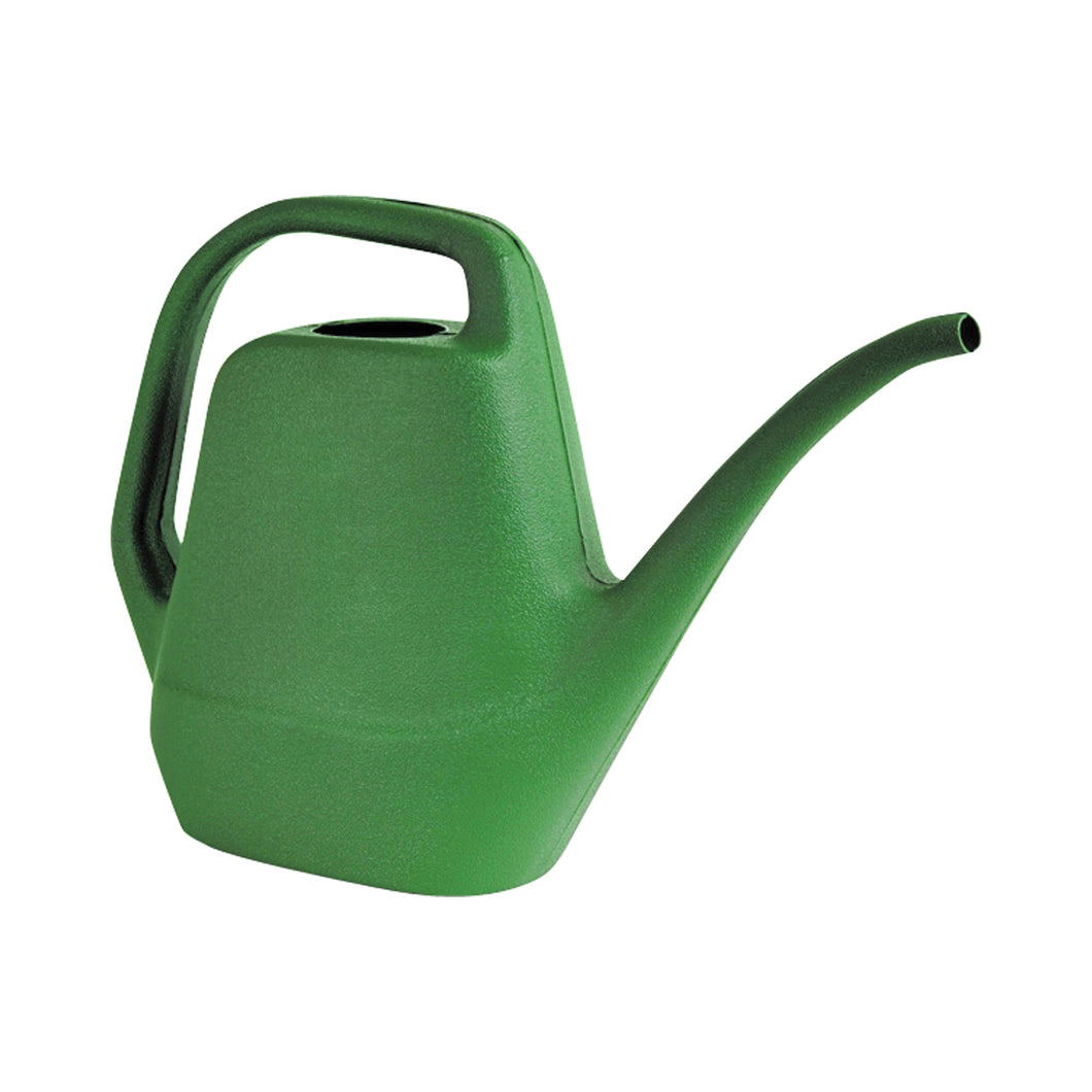 Southern Patio WC2012FE Watering Can, 80 oz Can, Resin, Fern