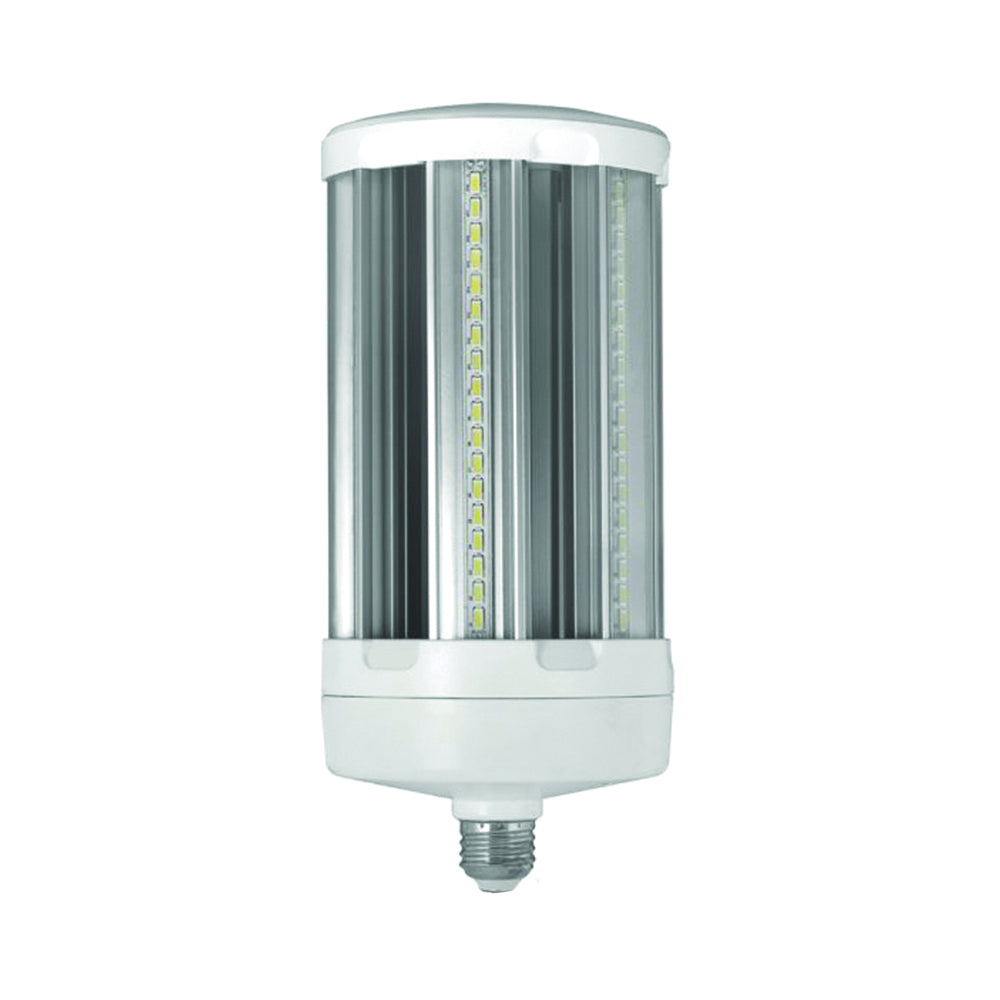 Feit Electric C10000/5K/LED LED Bulb, General Purpose, E26 Lamp Base, Daylight Light, 5000 K Color Temp