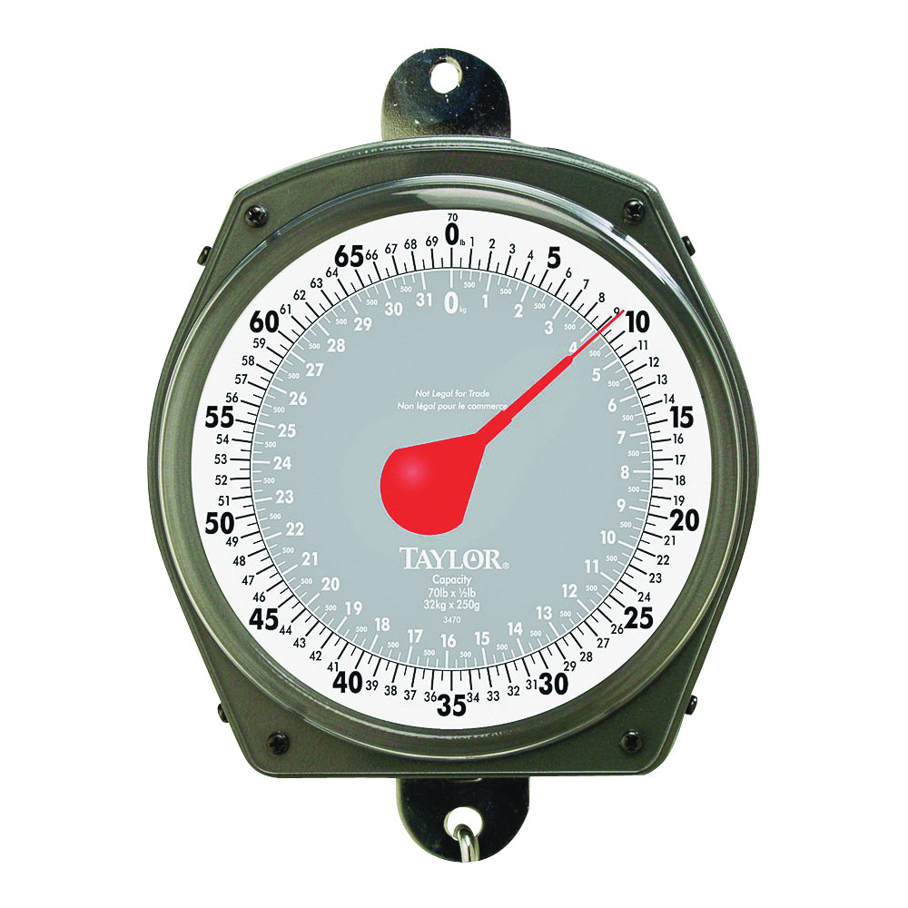 Taylor 3470 Hanging Scale, 70 lb Capacity, Analog Display, Steel Housing Material, lb