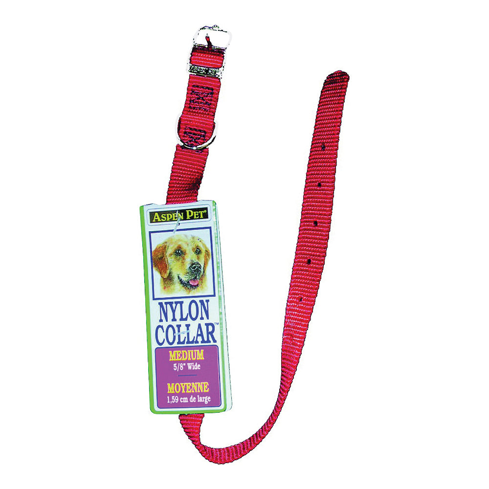 PETMATE 15356 Dog Collar, 12 in L Collar, 5/8 in W Collar, Nylon, Red