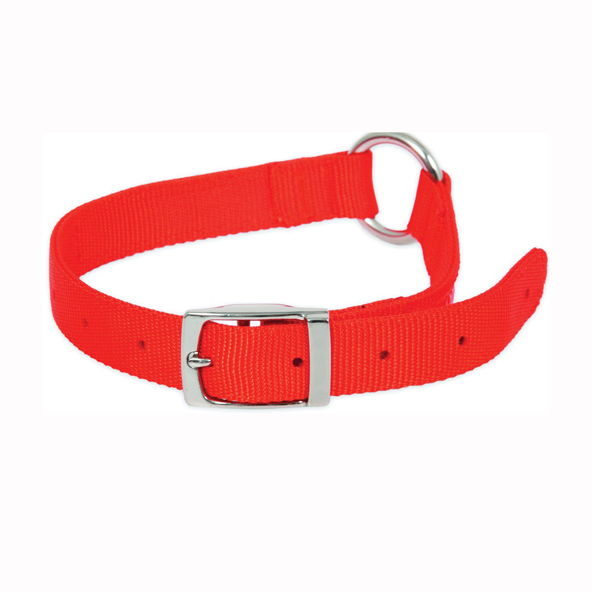 Ruffmaxx 10821 Adjustable Dog Collar, 20 to 28 in L Collar, 1 in W Collar, Nylon, Orange