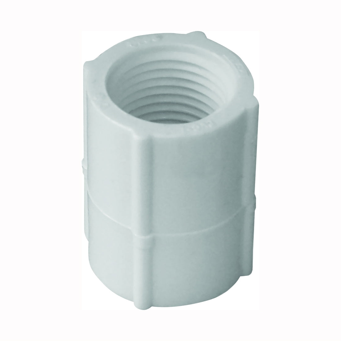 GENOVA 300 Series 30125 Pipe Coupling, 1/2 in, FIP, White, SCH 40 Schedule, 600 psi Pressure