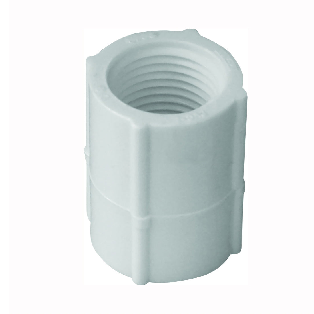 GENOVA 300 Series 30127 Pipe Coupling, 3/4 in, FIP, White, SCH 40 Schedule, 480 psi Pressure