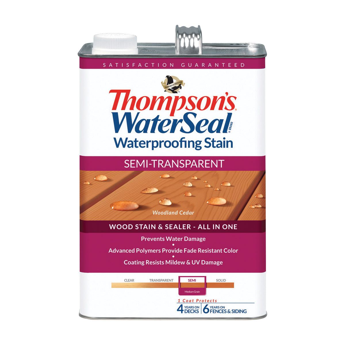 Thompson&#39;s WaterSeal TH.042851-16 Waterproofing Stain, Woodland Cedar, 1 gal, Can