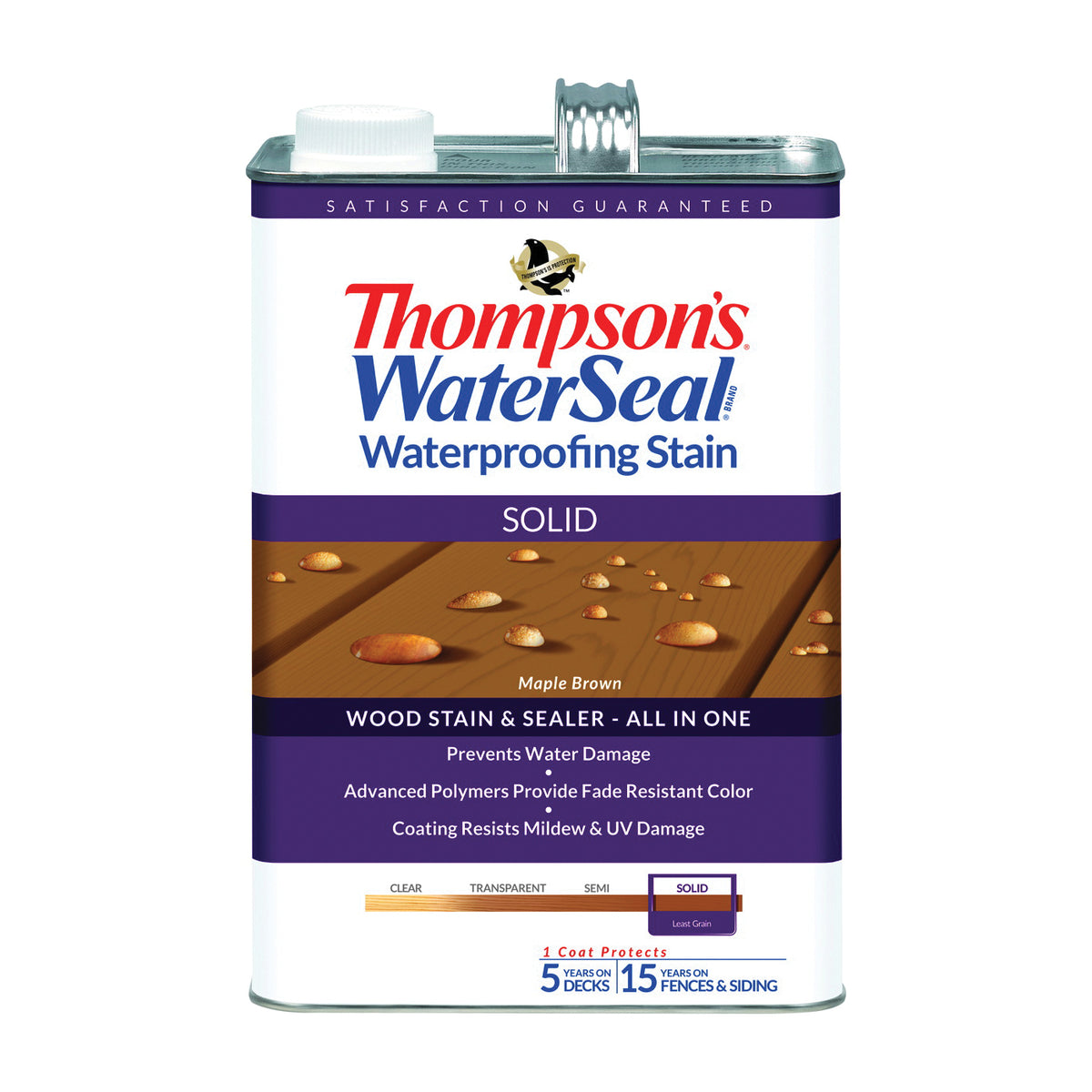 Thompson&#39;s WaterSeal TH.043821-16 Waterproofing Stain, Maple Brown, 1 gal