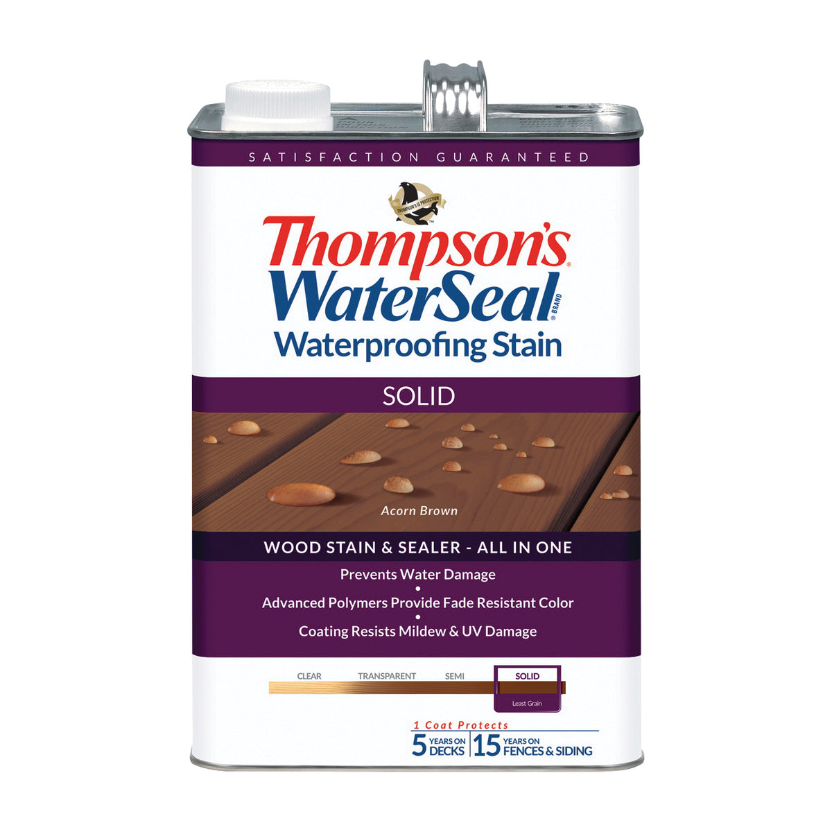 Thompson&#39;s WaterSeal TH.043841-16 Waterproofing Stain, Acorn Brown, 1 gal