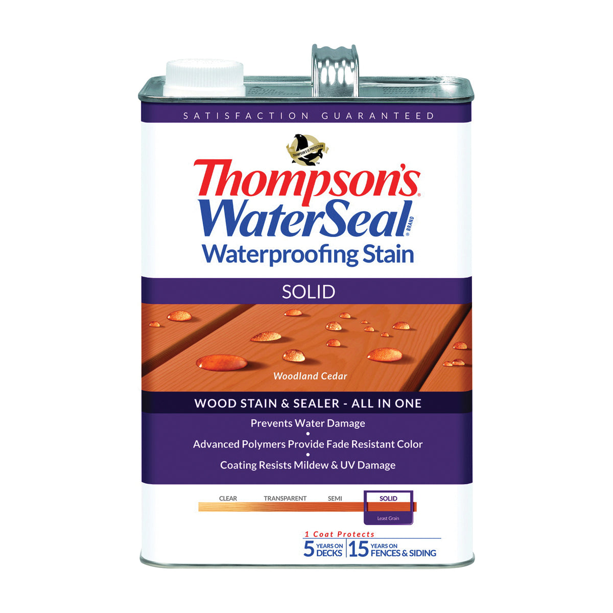 Thompson&#39;s WaterSeal TH.043851-16 Waterproofing Stain, Woodland Cedar, 1 gal