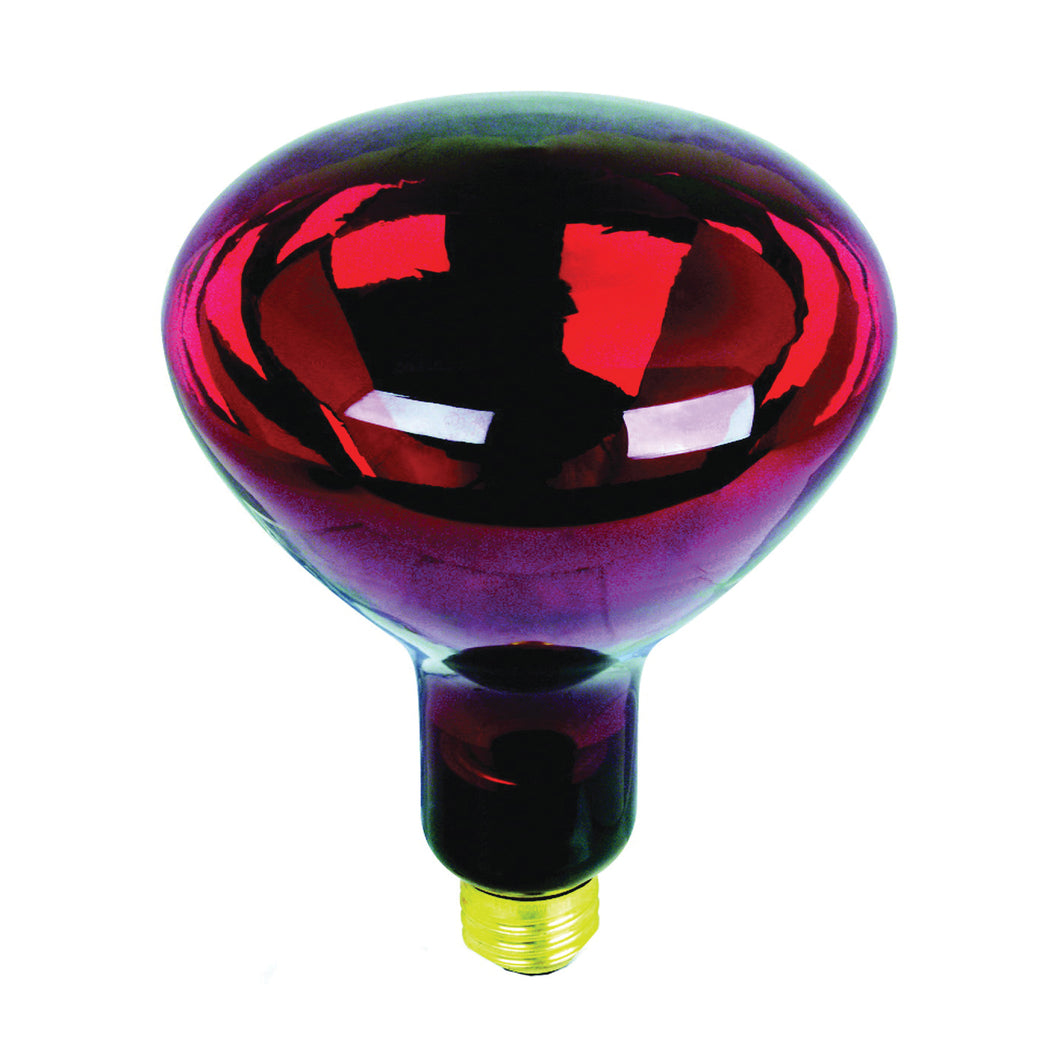 Feit Electric 250R40/R/2 Incandescent Lamp, 250 W, R40 Lamp, Medium E26 Lamp Base, 2700 K Color Temp