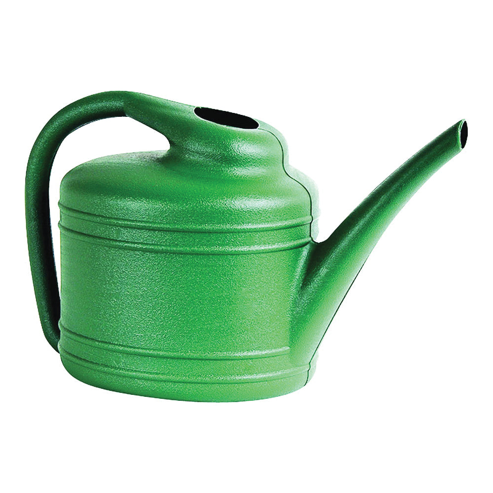 Southern Patio WC4012FE Watering Can, 1 gal Can, Resin, Fern