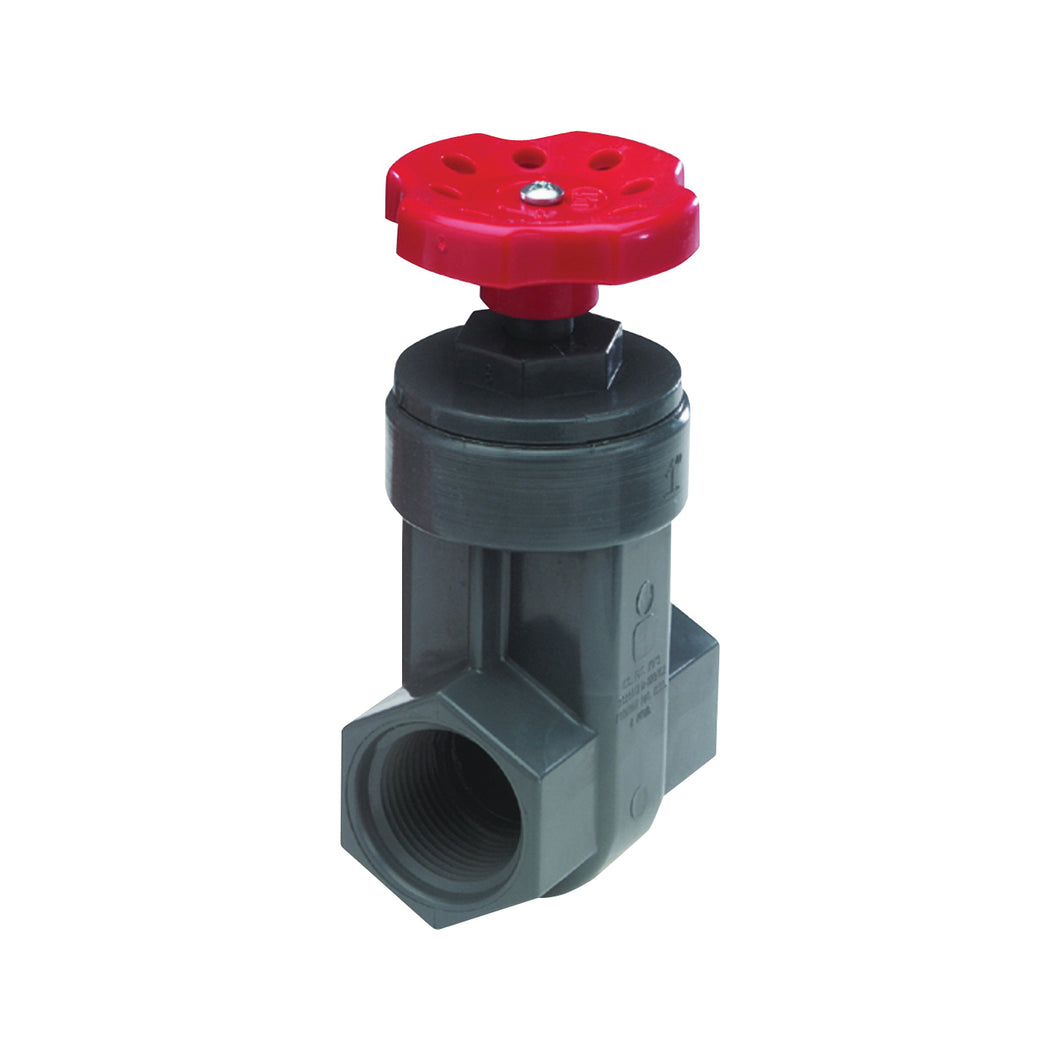 NDS GVG-0750-T Gate Valve, 3/4 in Connection, FIP, 150 psi Pressure, PVC Body