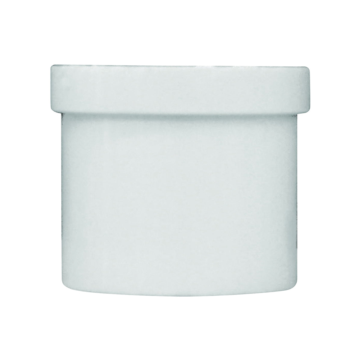GENOVA 31830 Pipe Plug, 1 in, Spigot, PVC, White, SCH 40 Schedule