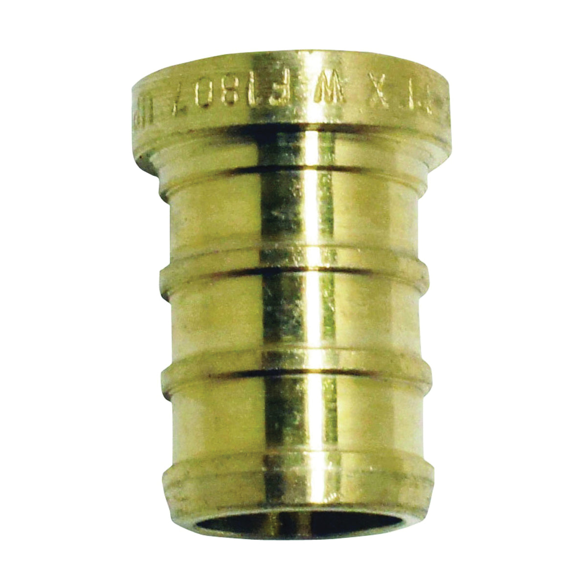 Apollo Valves APXP12 Test Pipe Plug, 1/2 in, Barb
