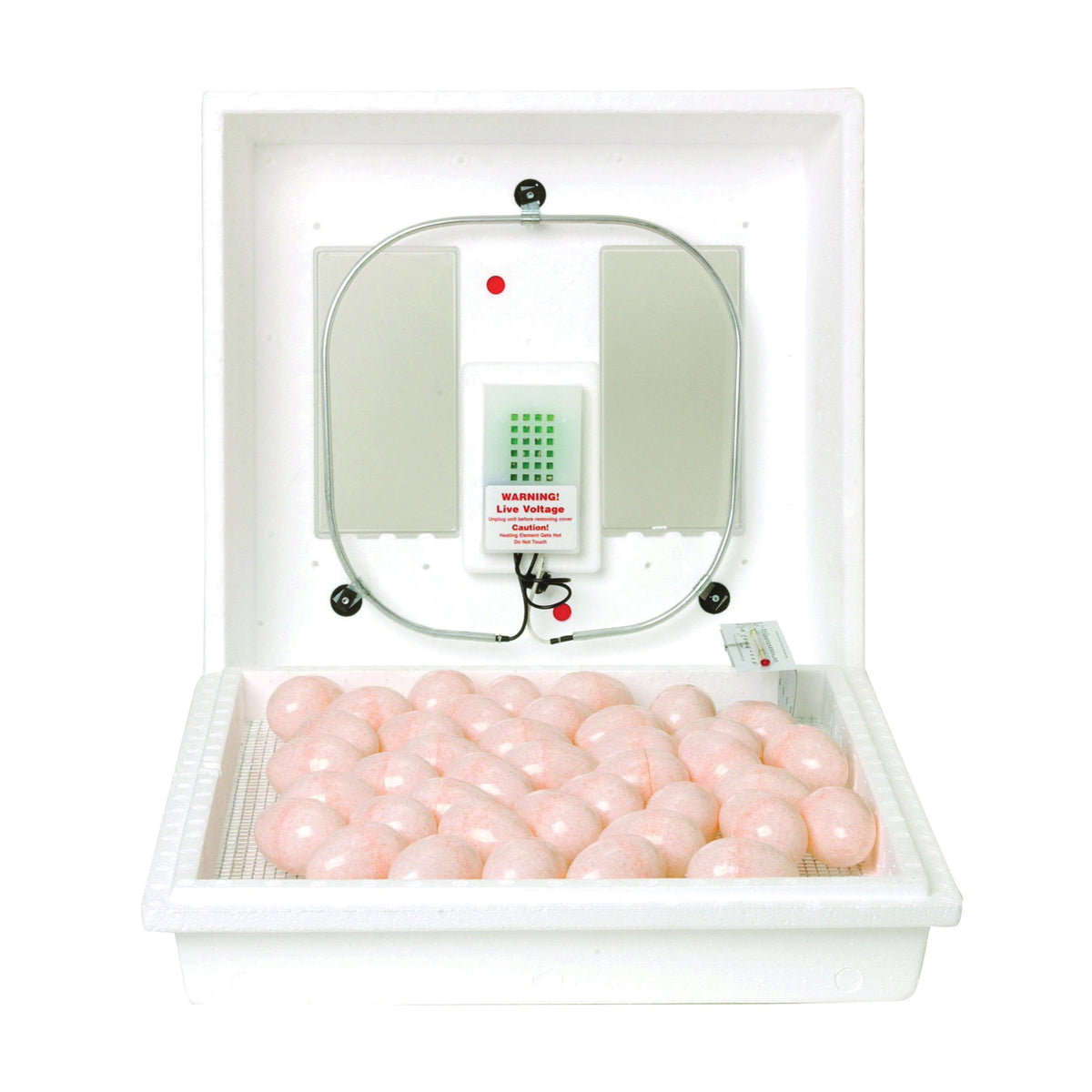 Little Giant 9300 Egg Incubator, 110 V, 41 Large Chicken Eggs Egg, Styrofoam
