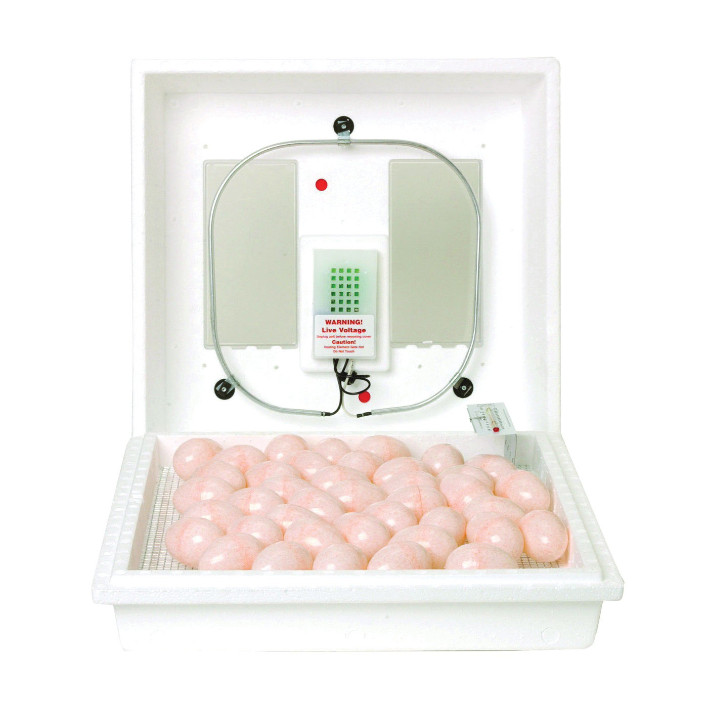 Little Giant 9300 Egg Incubator, 110 V, 41 Large Chicken Eggs Egg, Styrofoam
