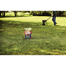 Load image into Gallery viewer, Sevin 100530128 Lawn Insect Killer, Granular, 10 lb
