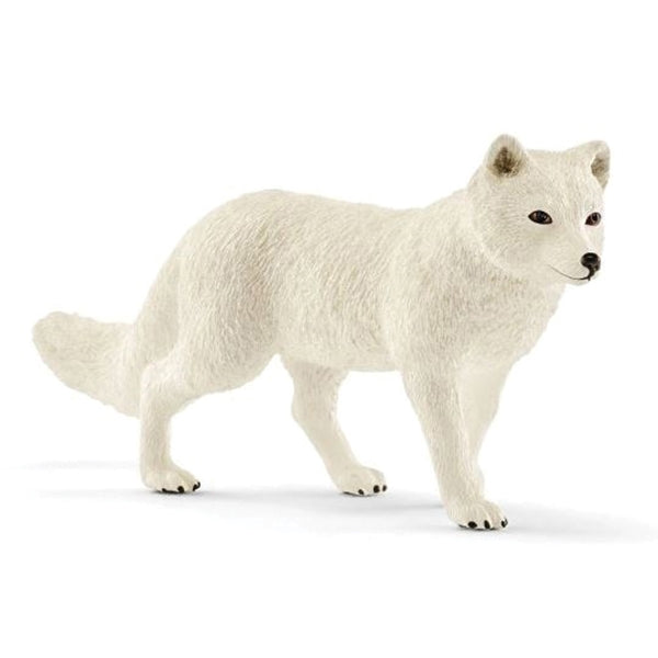 Schleich-S 14805 Figurine, 3 to 8 years, Arctic Fox, Plastic