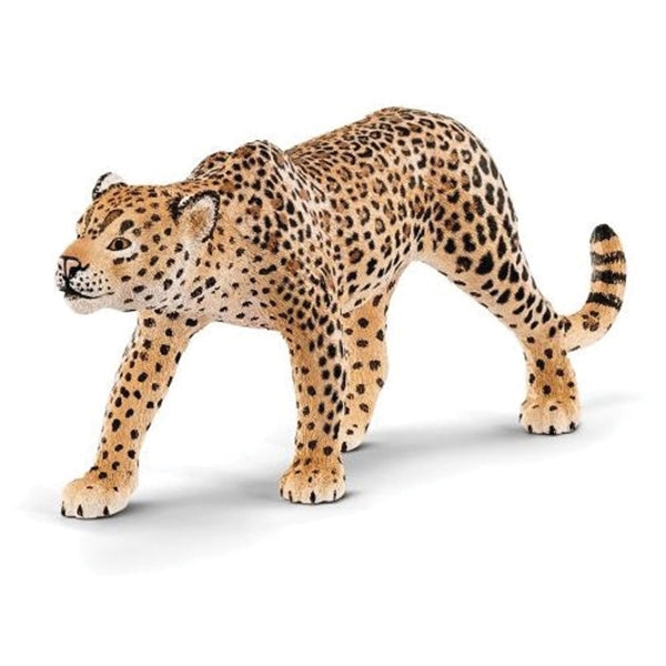 Schleich-S 14748 Figurine, 3 to 8 years, Leopard, Plastic