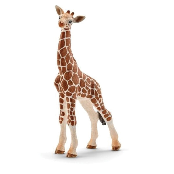 Schleich-S 14751 Figurine, 3 to 8 years, Giraffe Calf, Plastic