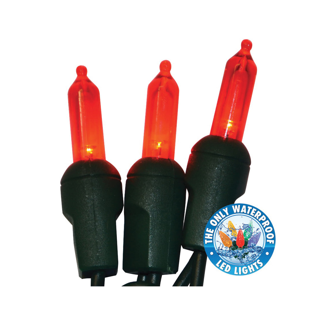 Holiday Bright Lights LEDBX-T550-RD6 Light Set, 50-Lamp, LED Lamp, Red Lamp, 50,000 hr Average Life, 26 ft L