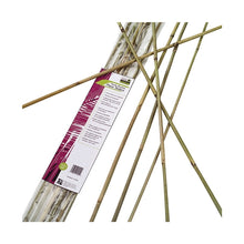 Load image into Gallery viewer, Gardener&#39;s Blue Ribbon BB6N Plant Stake, 6 ft L, Bamboo, Natural
