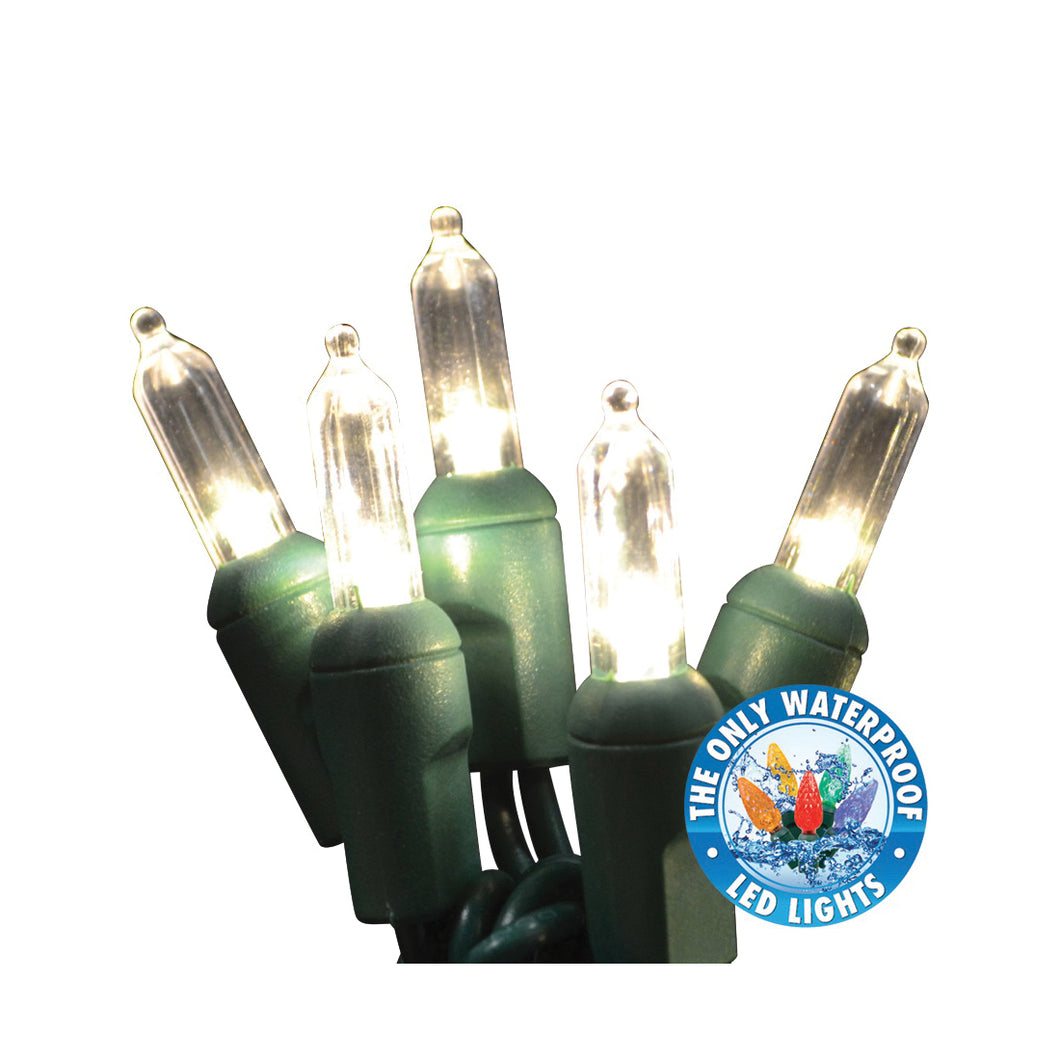 Holiday Bright Lights LEDBX-T550-WW6 Light Set, 50-Lamp, LED Lamp, Warm White Lamp, 50,000 hr Average Life